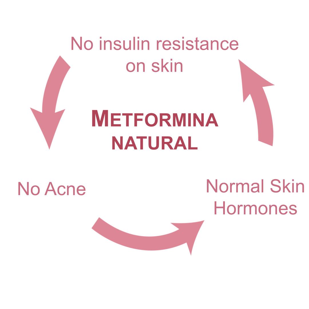 Metformina Natural - Crema para el Control Hormonal del Acné (crema para 2 meses) Dr Salomon