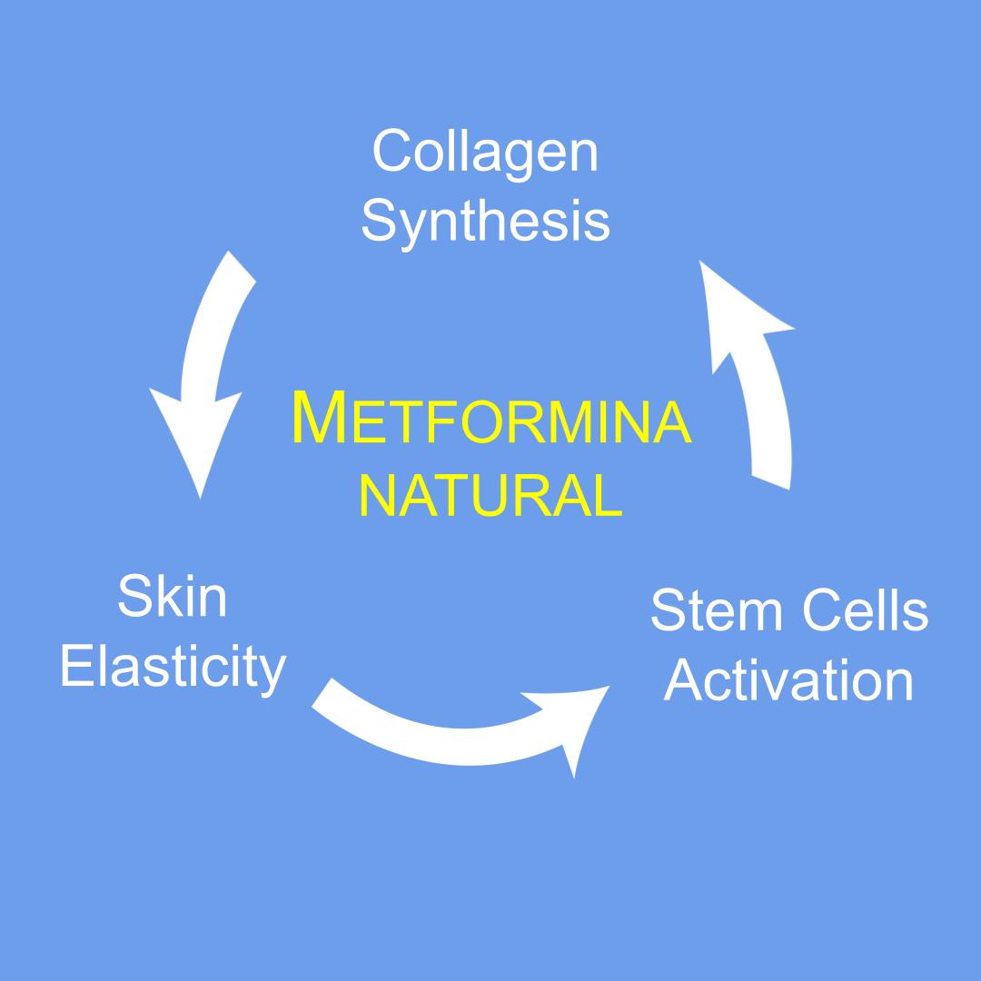 Metformina Natural - Crema para Estimular la Producción Cutánea de Colágeno (crema para 2 meses) Dr Salomon